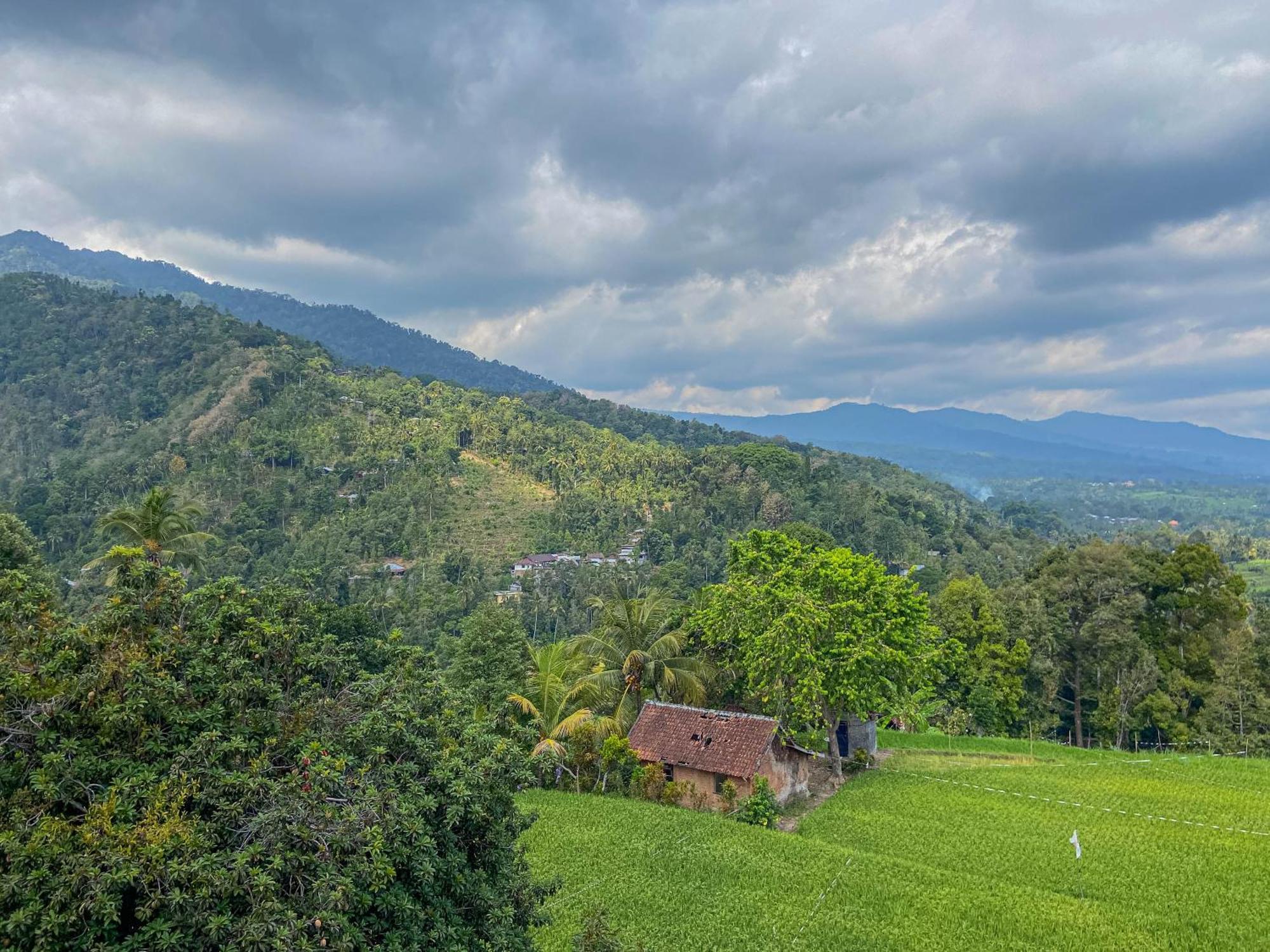 Mandhasativa Homestay Singaraja Exterior foto