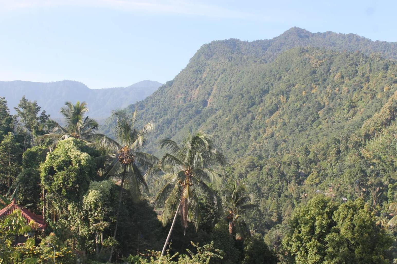 Mandhasativa Homestay Singaraja Exterior foto